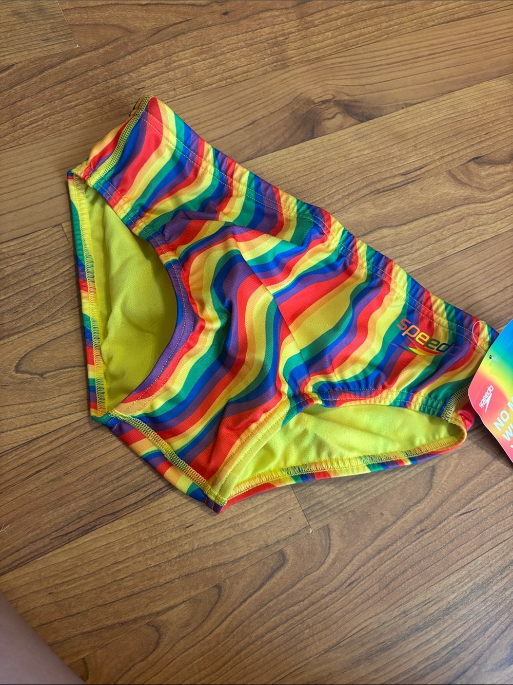 Speedo Rainbow Wave Swim Briefs in Multi-Color